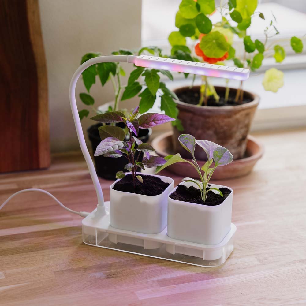 Vekstlampe med 2 potter, L: 22,5 cm B: 9 cm H: 28,5 cm