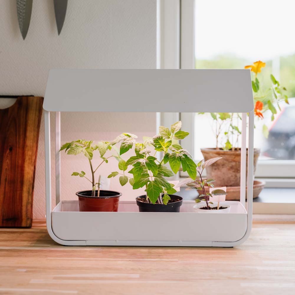 Vekstlys, hvit, L: 17,5 cm B: 42,4 cm H: 36,5 cm