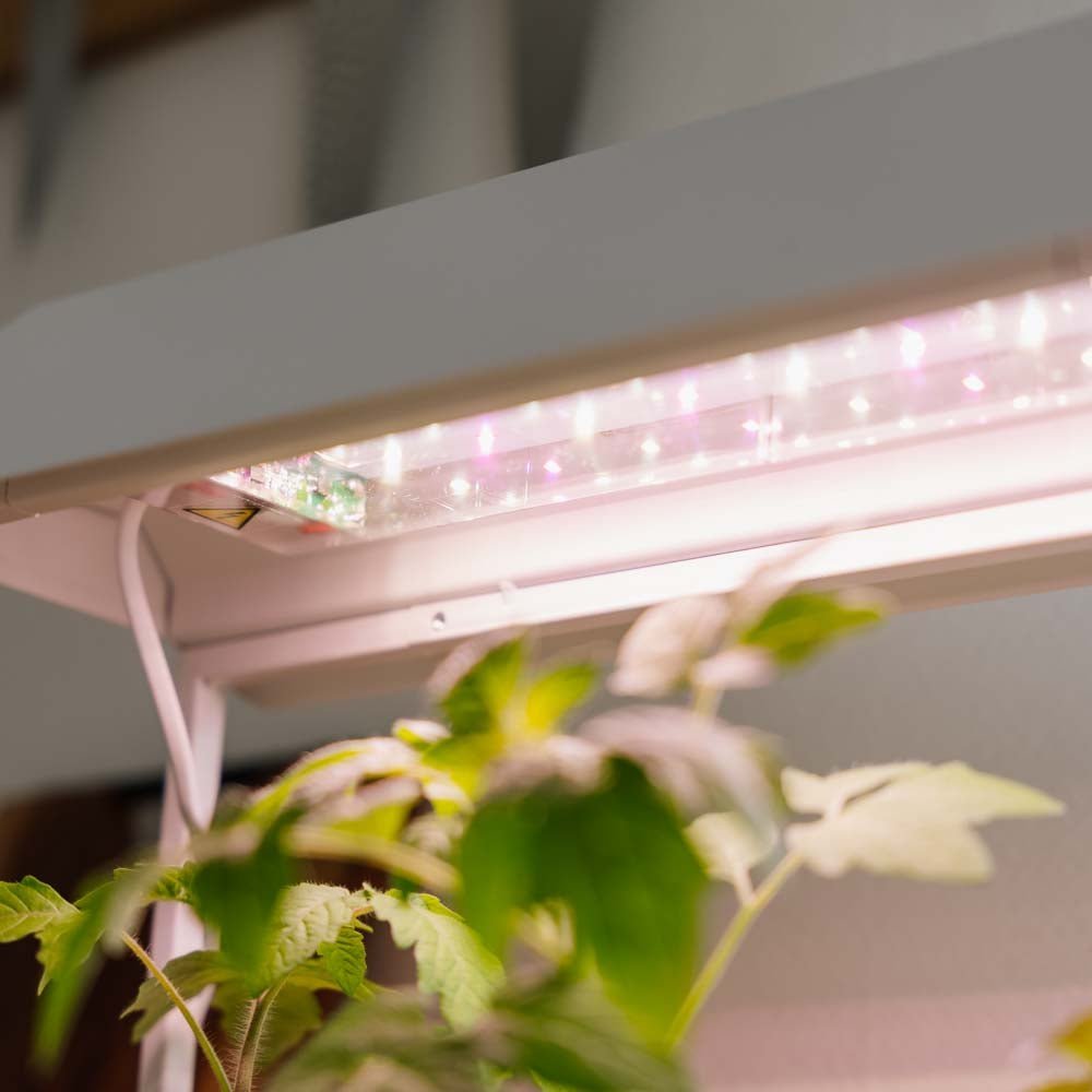 Vekstlys, hvit, L: 17,5 cm B: 42,4 cm H: 36,5 cm