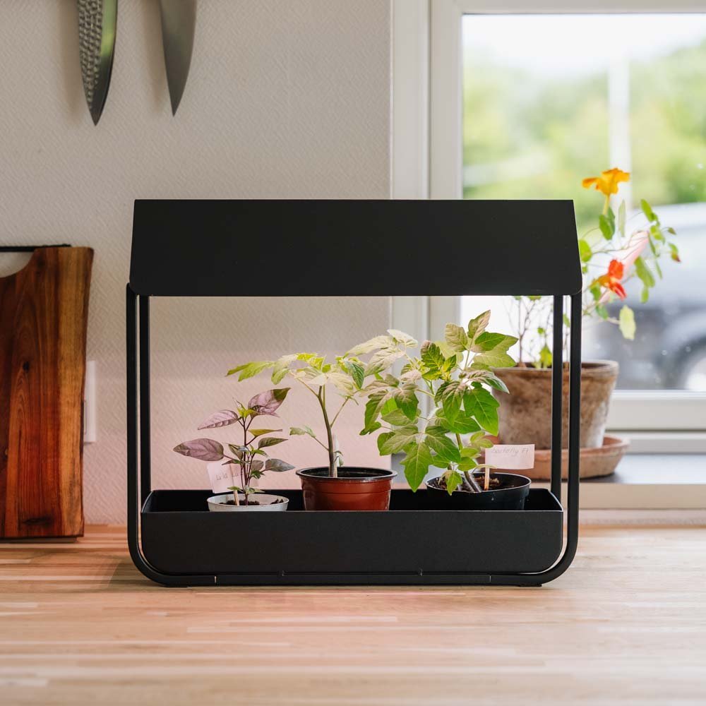 Vekstlys, svart, L: 17,5 cm B: 42,4 cm H: 36,5 cm