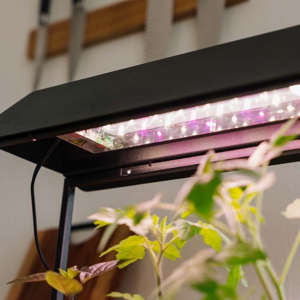 Vekstlys, svart, L: 17,5 cm B: 42,4 cm H: 36,5 cm