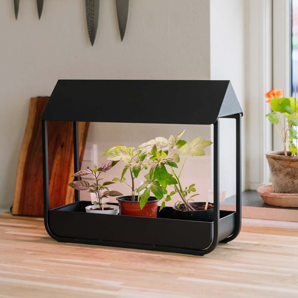 Vekstlys, svart, L: 17,5 cm B: 42,4 cm H: 36,5 cm