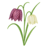 Vårblomster
